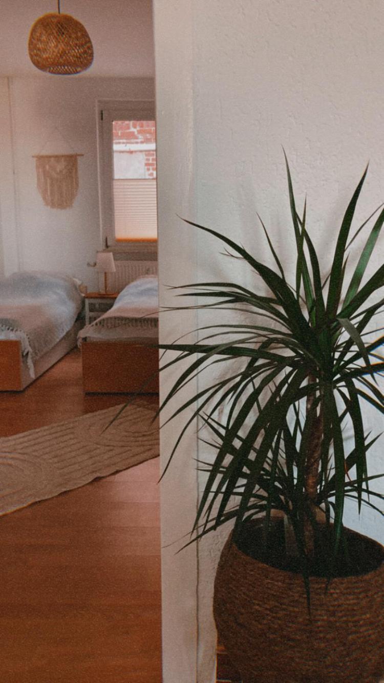 Ferienwohnung Nr. 1 Terrasse Bodden Kanu Bootssteg Zudar Luaran gambar